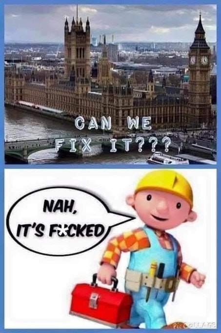 Back For Profit tweet media