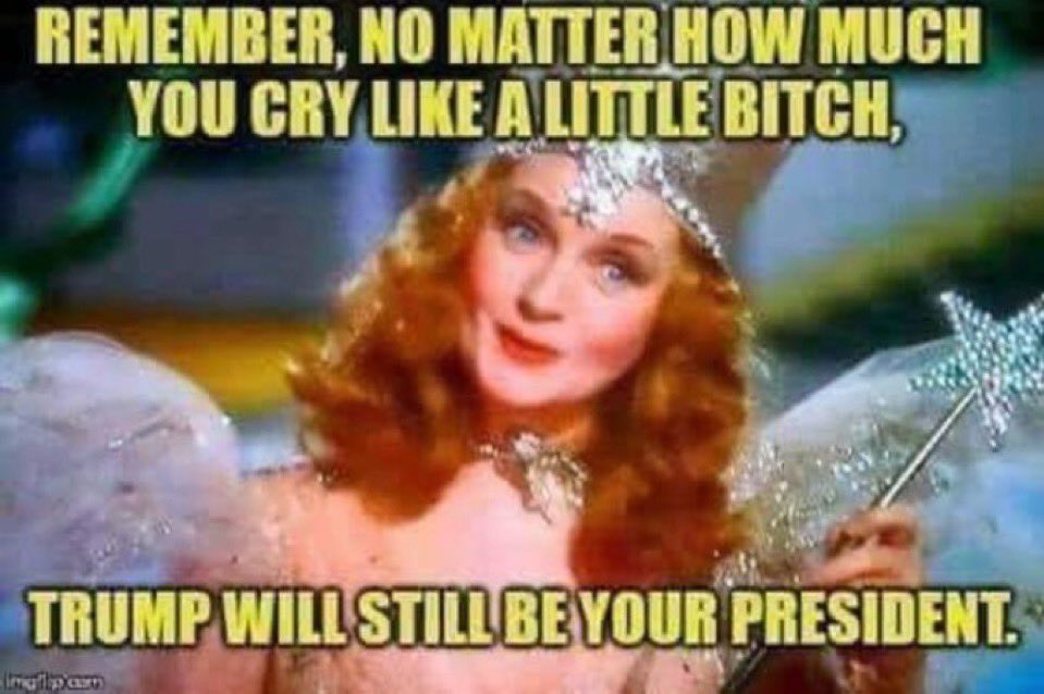 Long Haul Driver tweet media