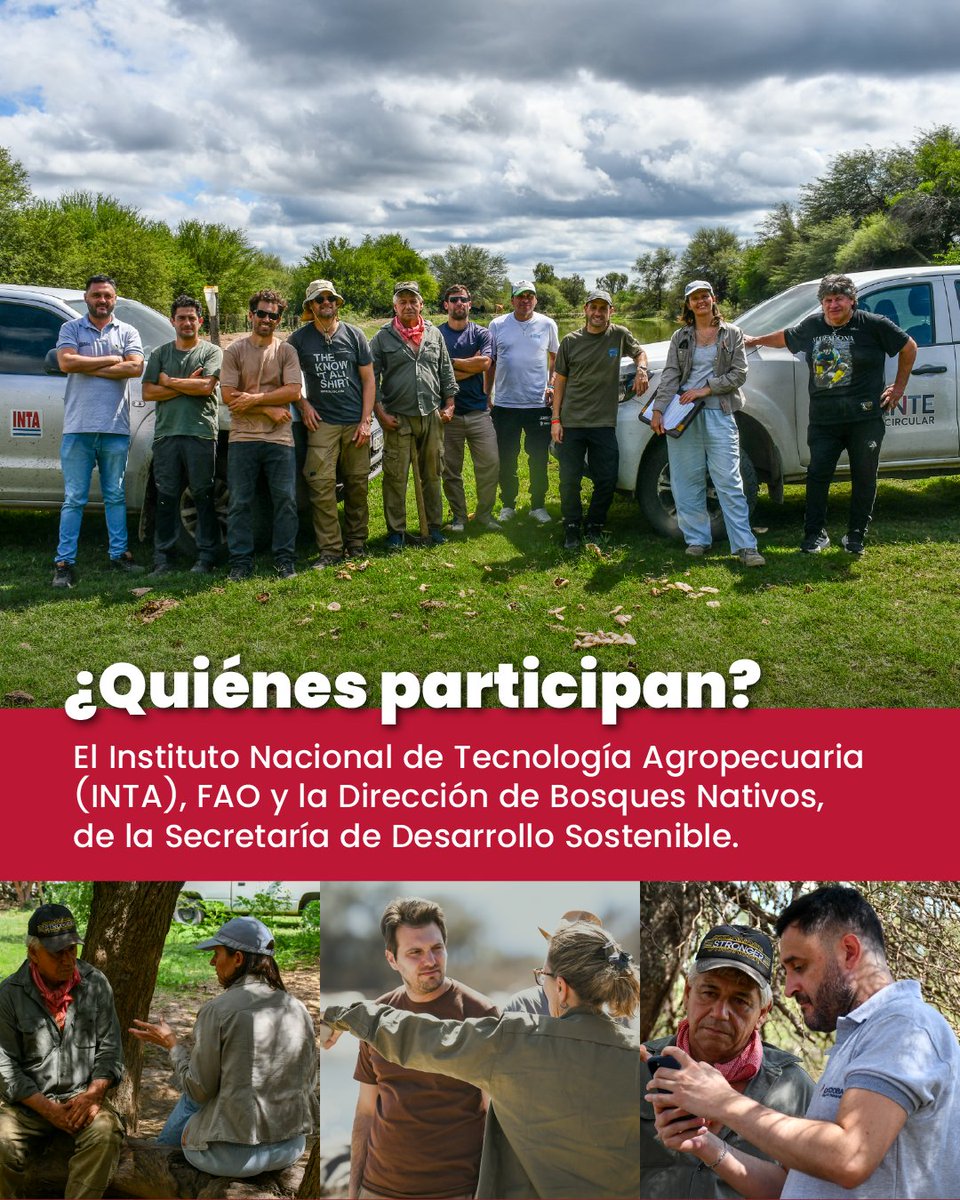 Victoria Flores tweet media