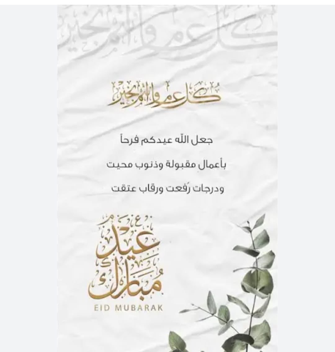 سالم القاسم tweet media