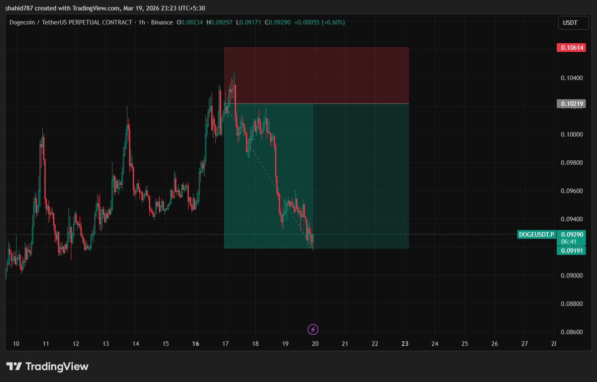 thorfinnnnm2 tweet media