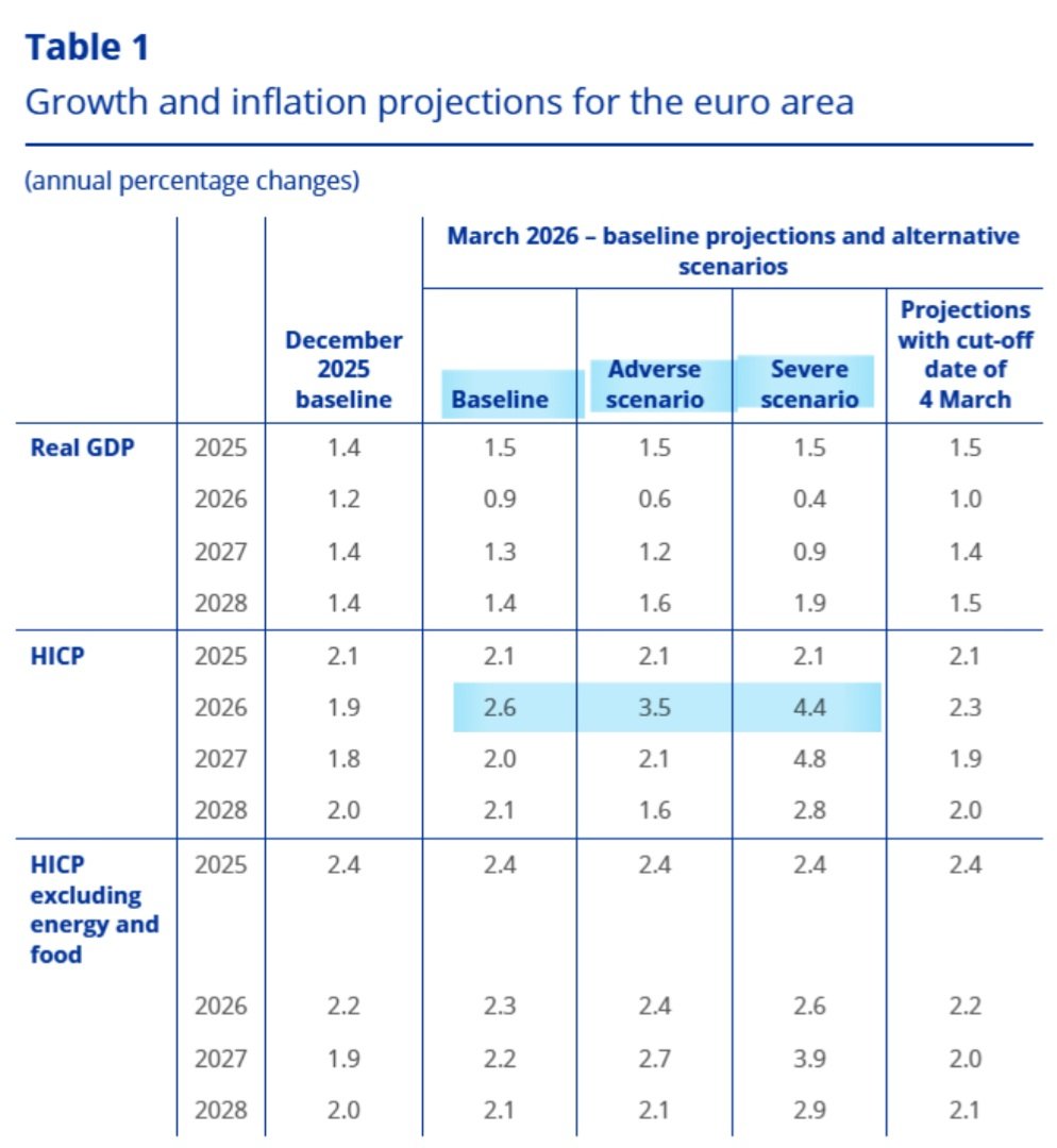 Berna Gülpınar tweet media