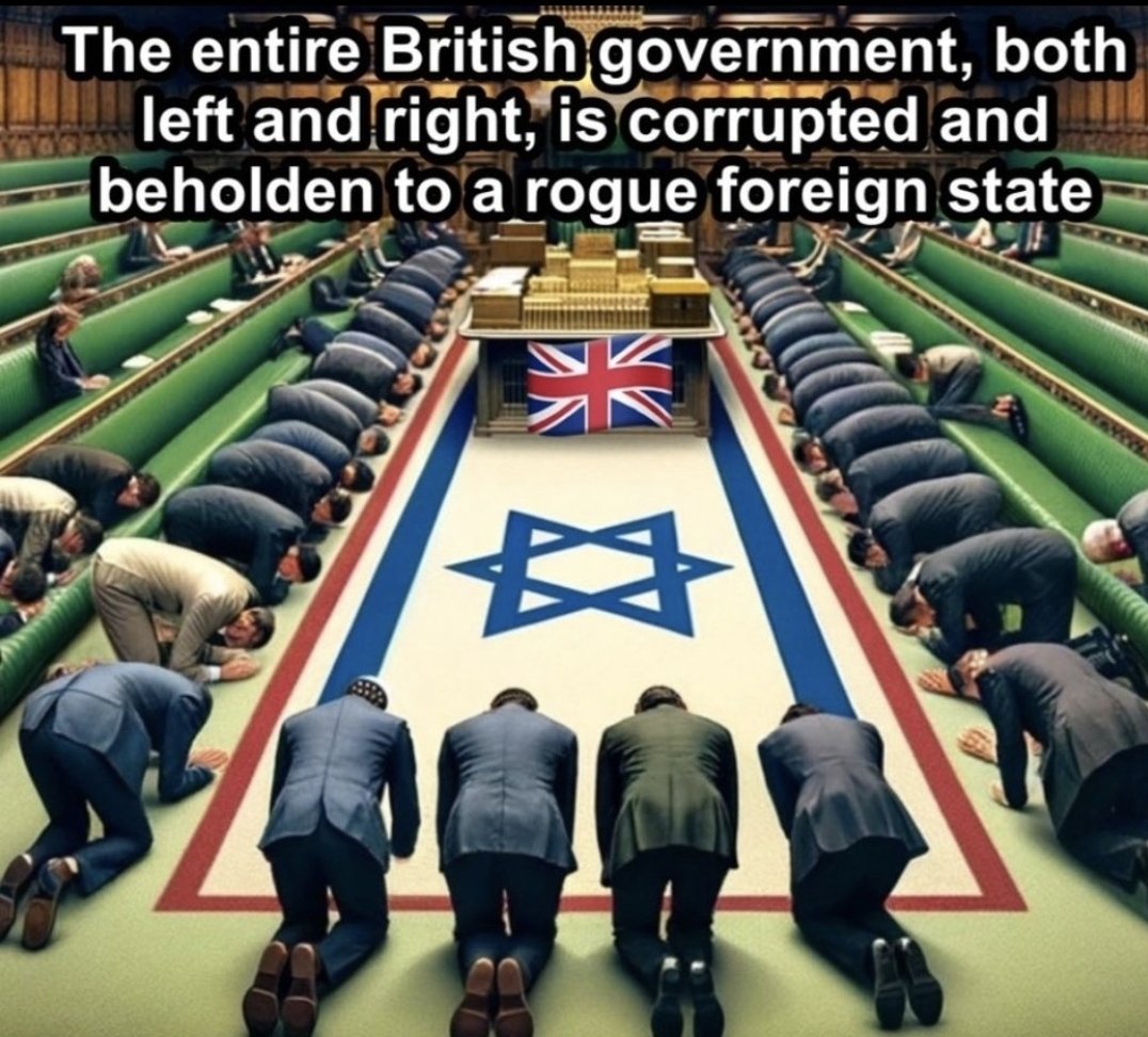 Maria Montgomery FollowBackFriday tweet media