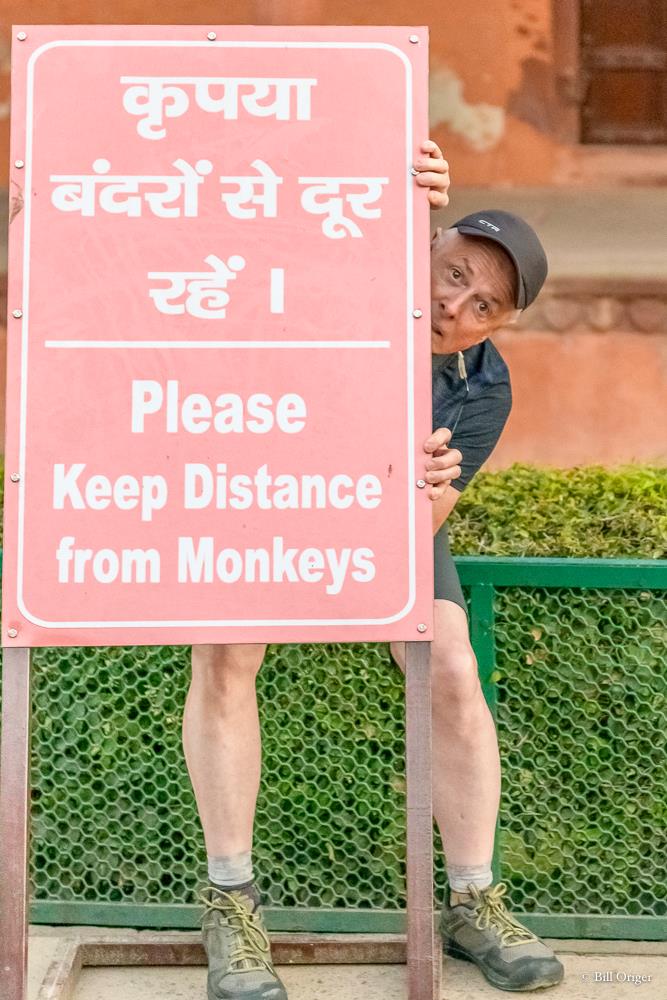 Art Wolfe tweet media