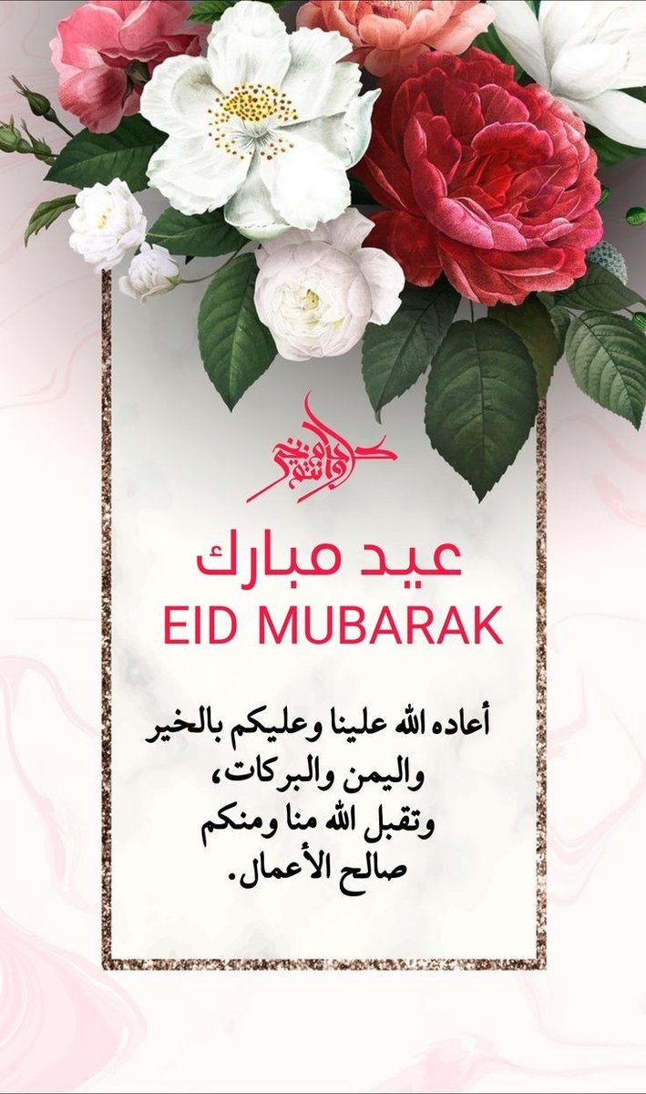 نووف💫🦌 tweet media