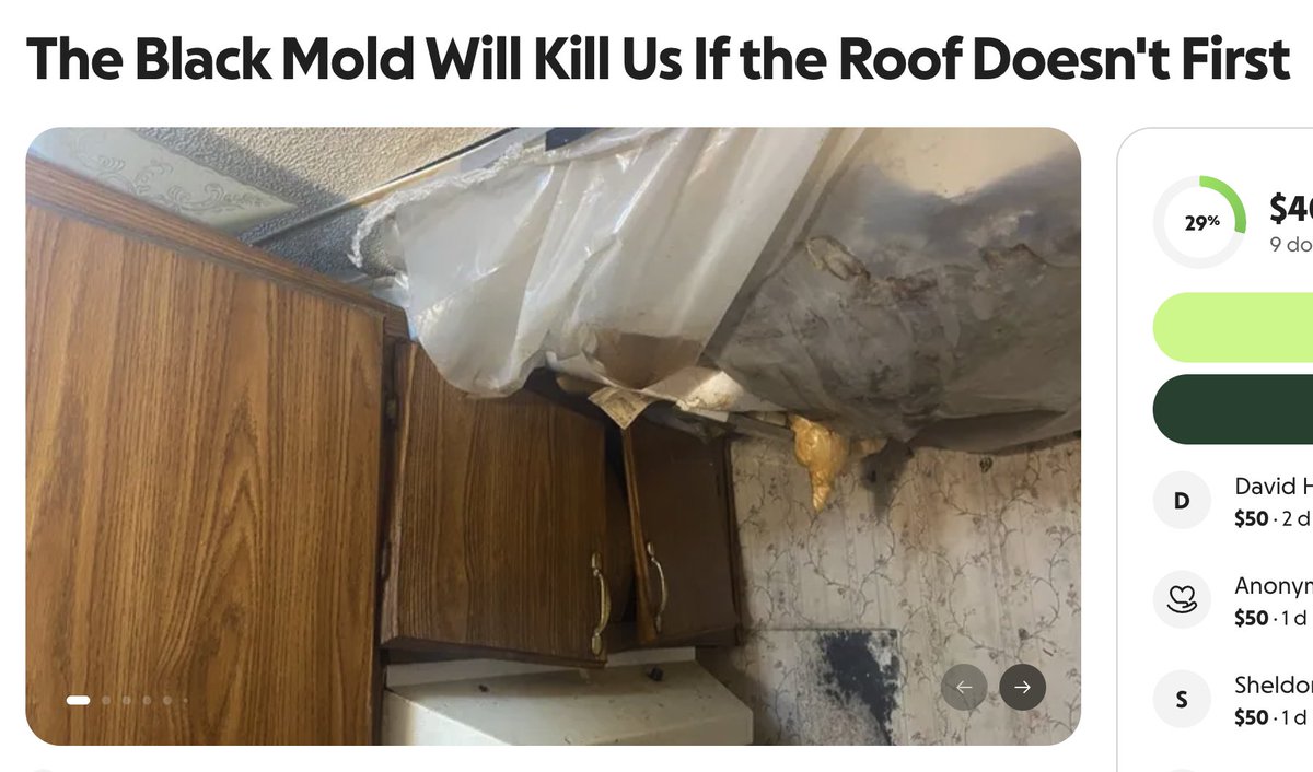 The DON. tweet media