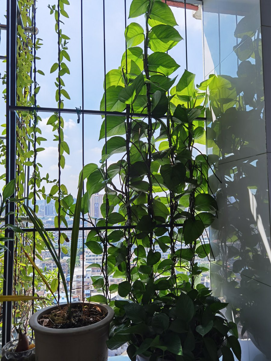 Jake Crossett tweet media