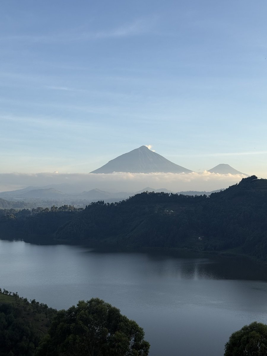 Dr Tom Crawford tweet media