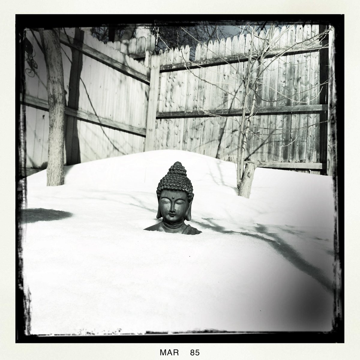 gonzoduke tweet media