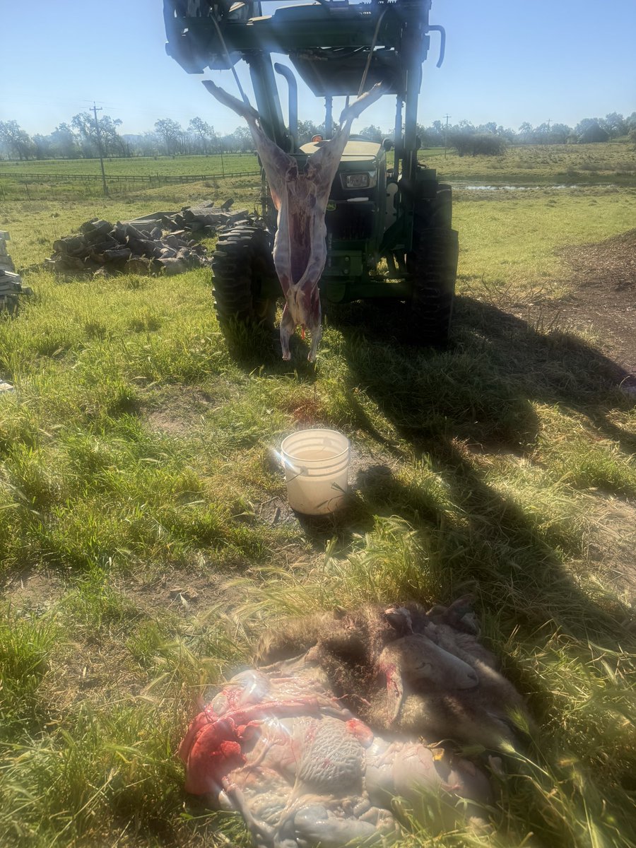 RawQuantum tweet media