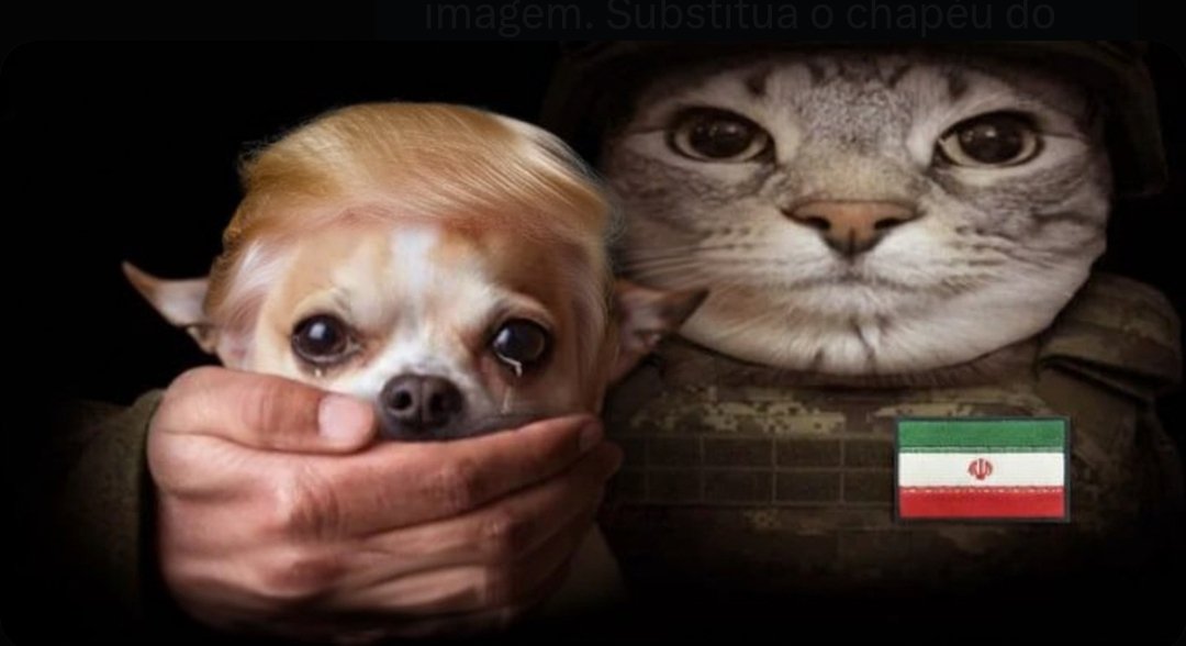 Dustbowl✴️🇮🇷 tweet media