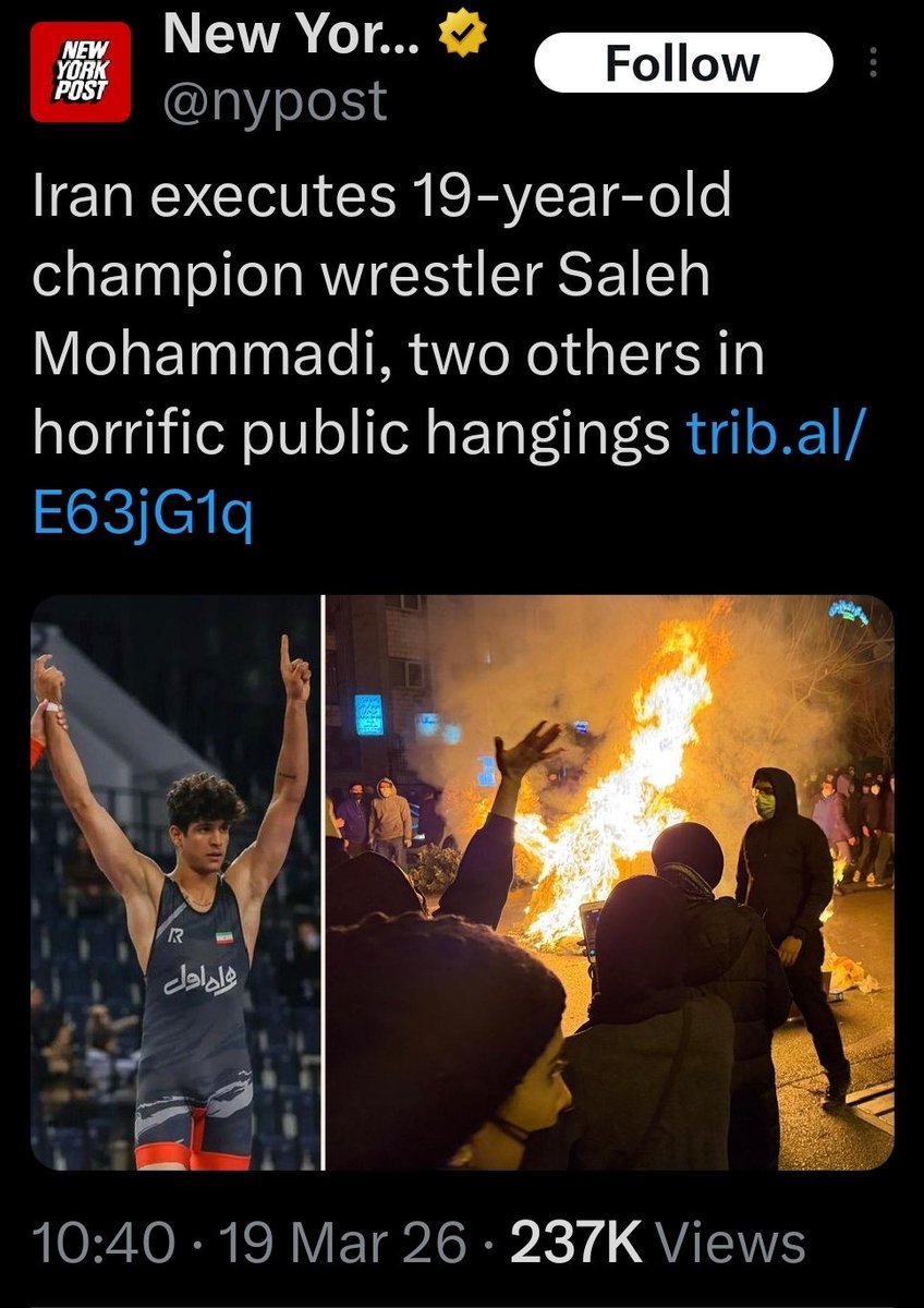 Alice VL tweet media