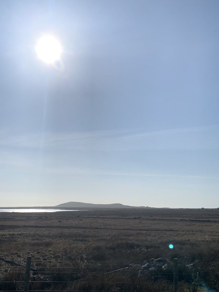 david brodie 🥃 tweet media