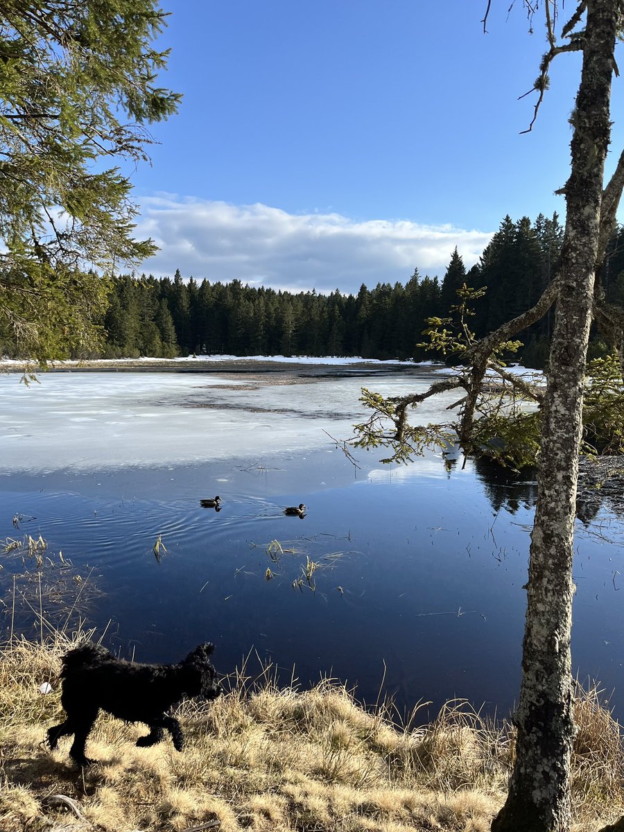 Daleč stran od ponorele kampanje.