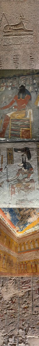 ali raza tweet media