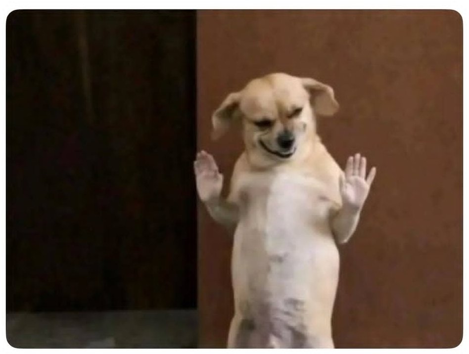 Deeyarh🌸 tweet media