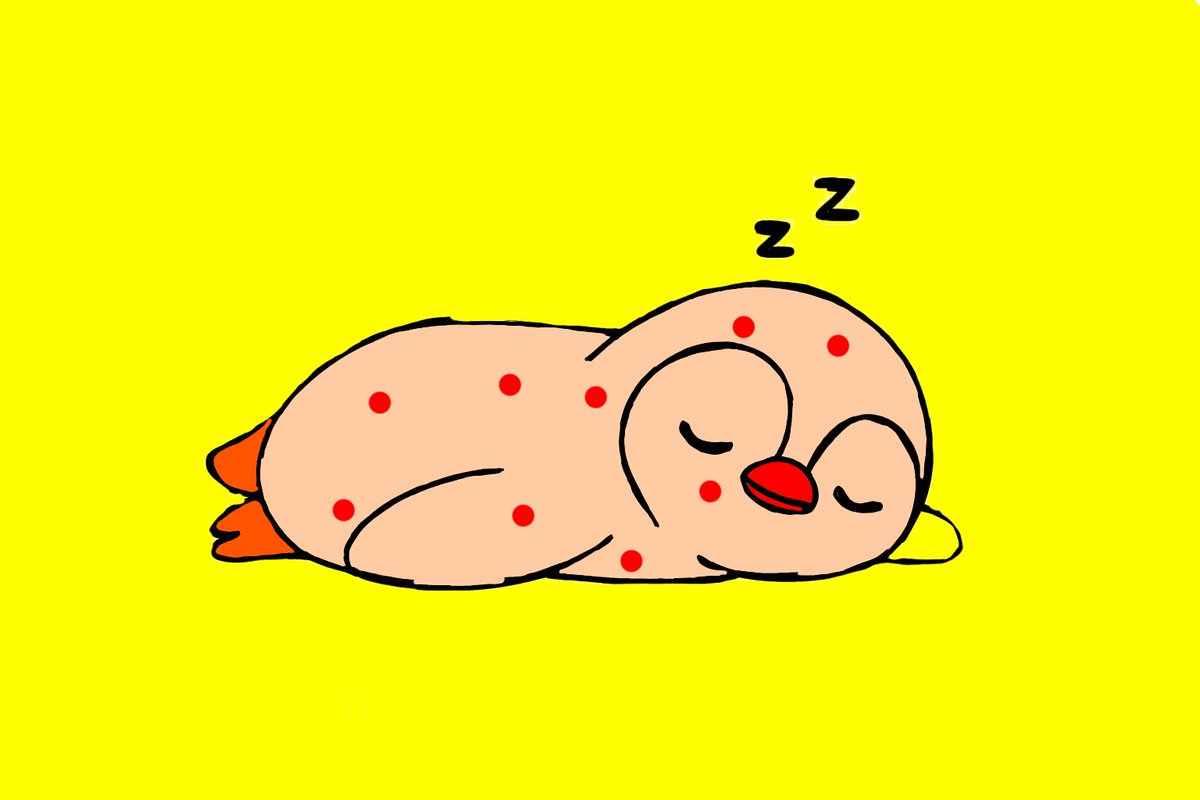 HASSAN HAROON(❖,❖) tweet media