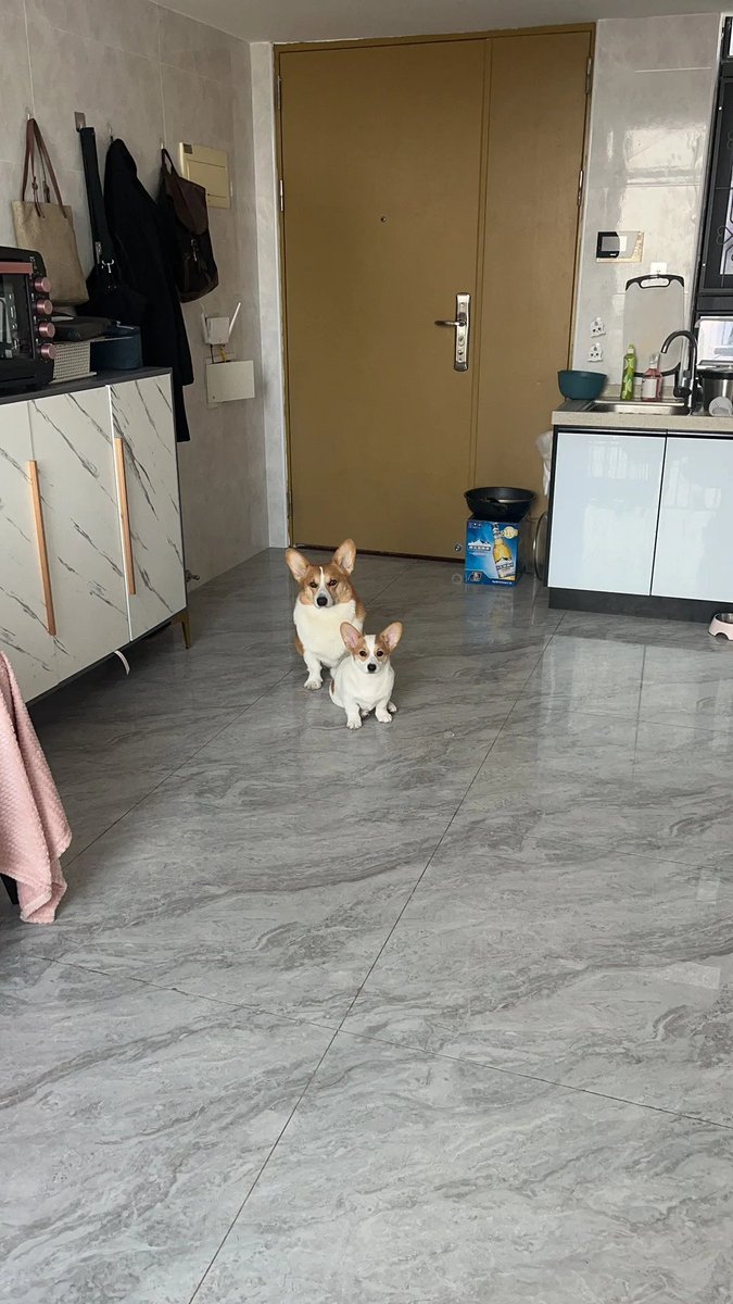 ALILAT MOHAMED tweet media