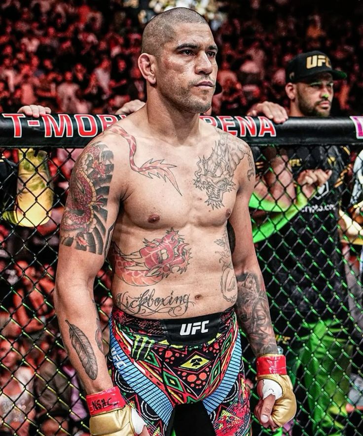 The Fight Fanatic tweet media