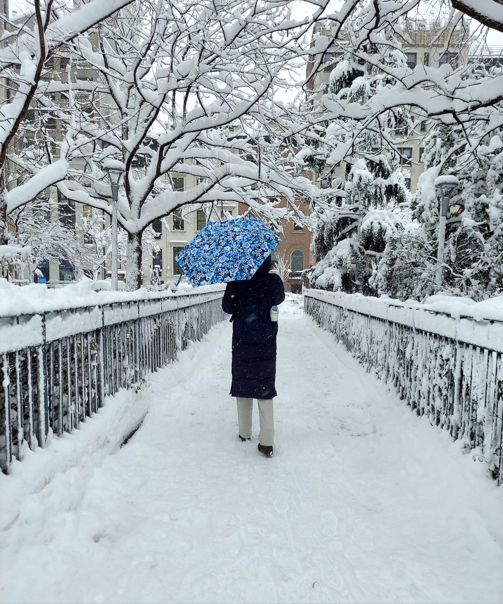 Maestro!!! 🎻 tweet media