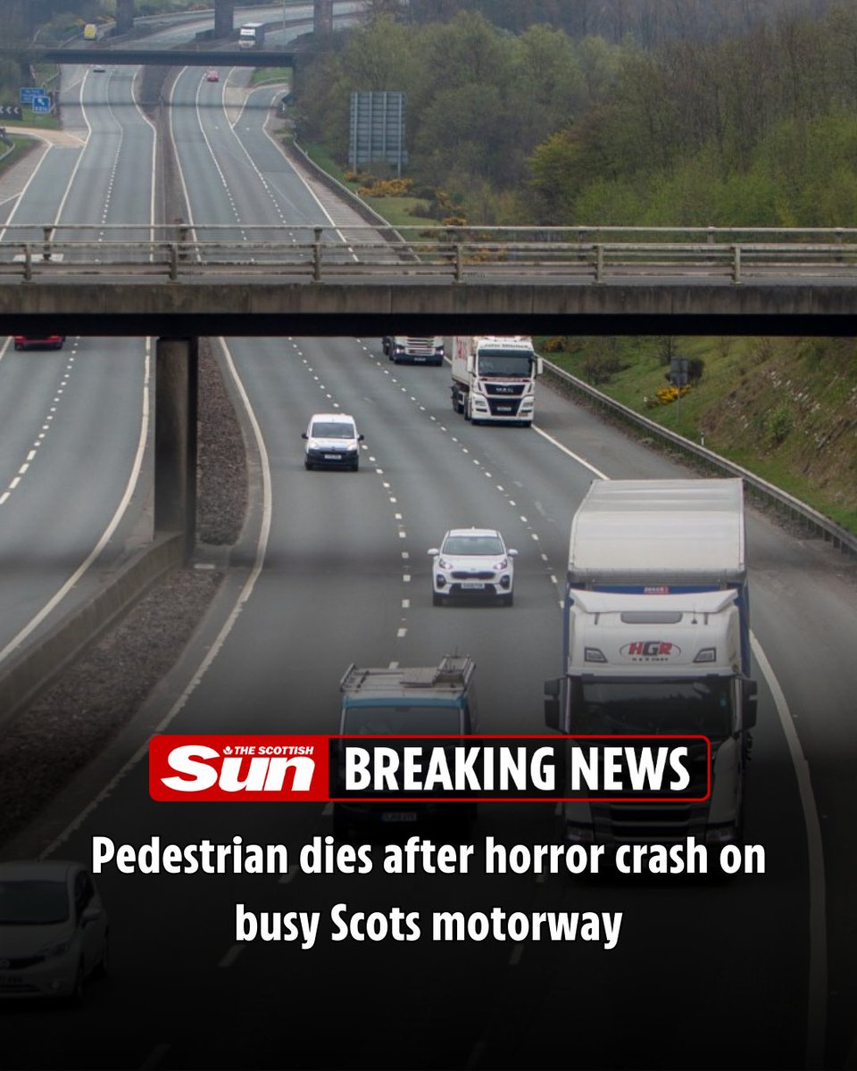 The Scottish Sun tweet media