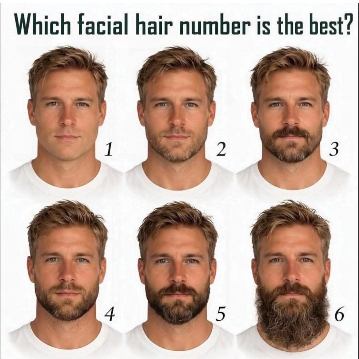 Гном Пельменыч tweet media