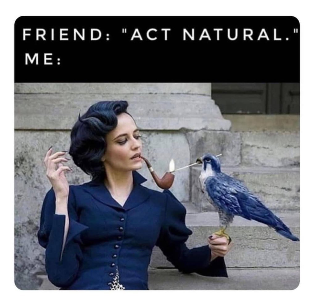 𝚂𝚎𝚌𝚘𝚗𝚍𝚊𝚛𝚢 𝙿𝚛𝚘𝚝𝚘𝚌𝚘𝚕 tweet media