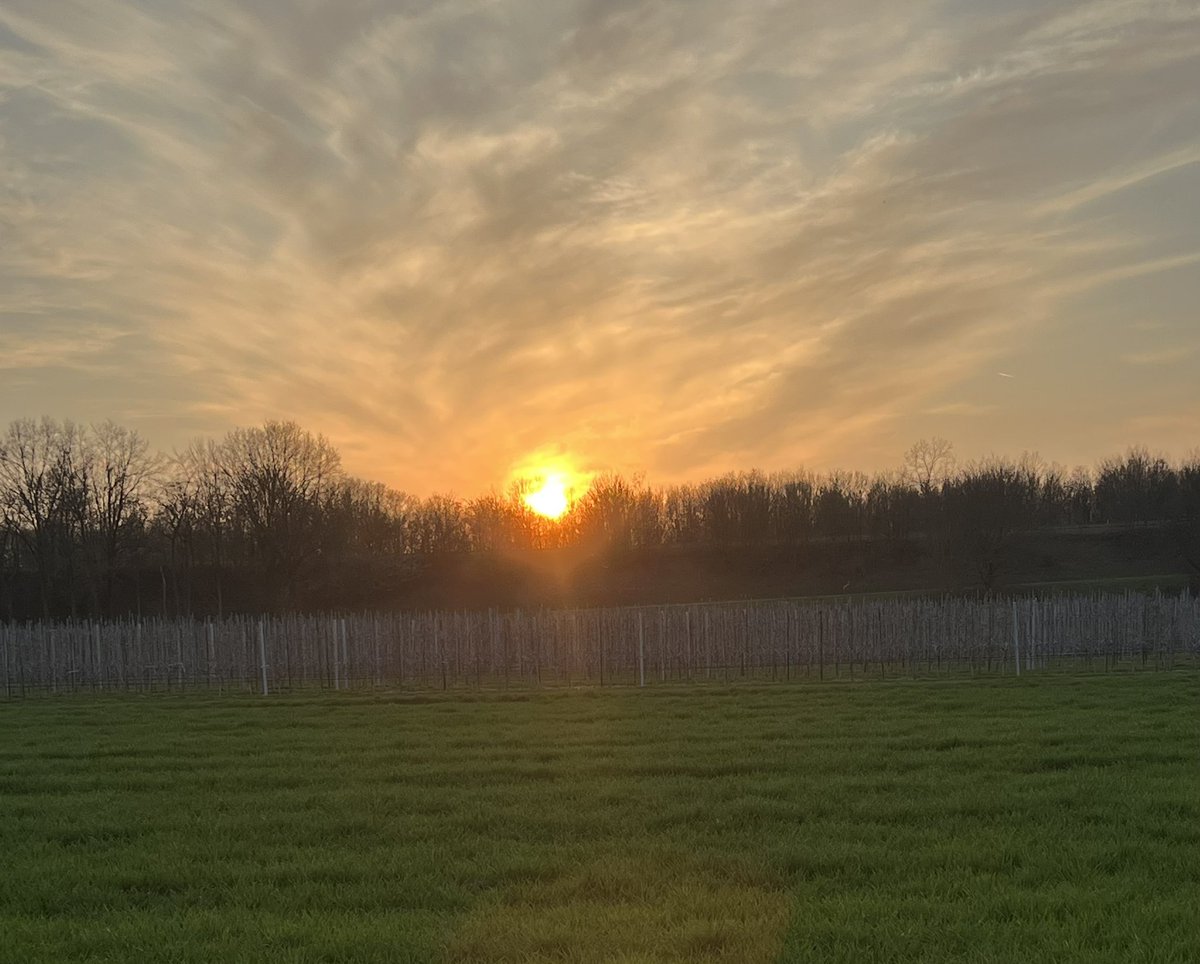 SanderKerkhof's tweet image. Doet goed zo’n avondwandeling #positivemind(re)set