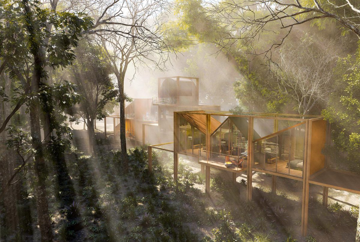 World Architecture tweet media