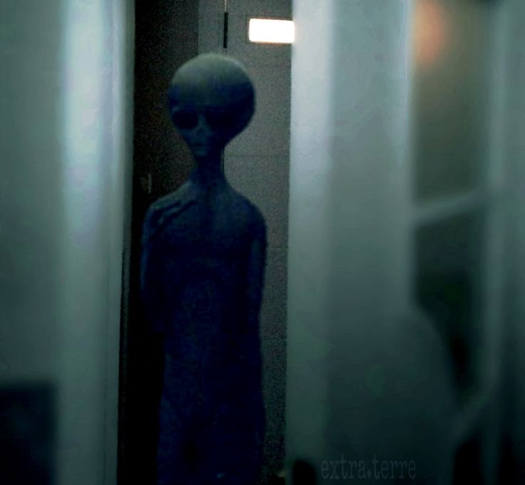 UNtitled tweet media