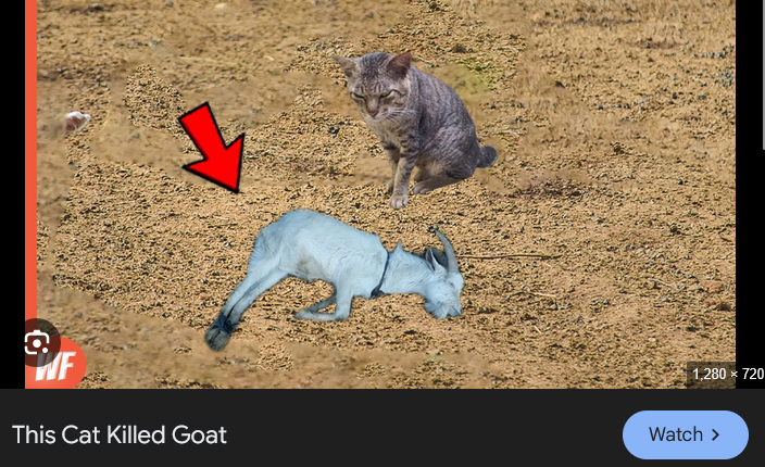 ut/dr confessions ❤️ tweet media