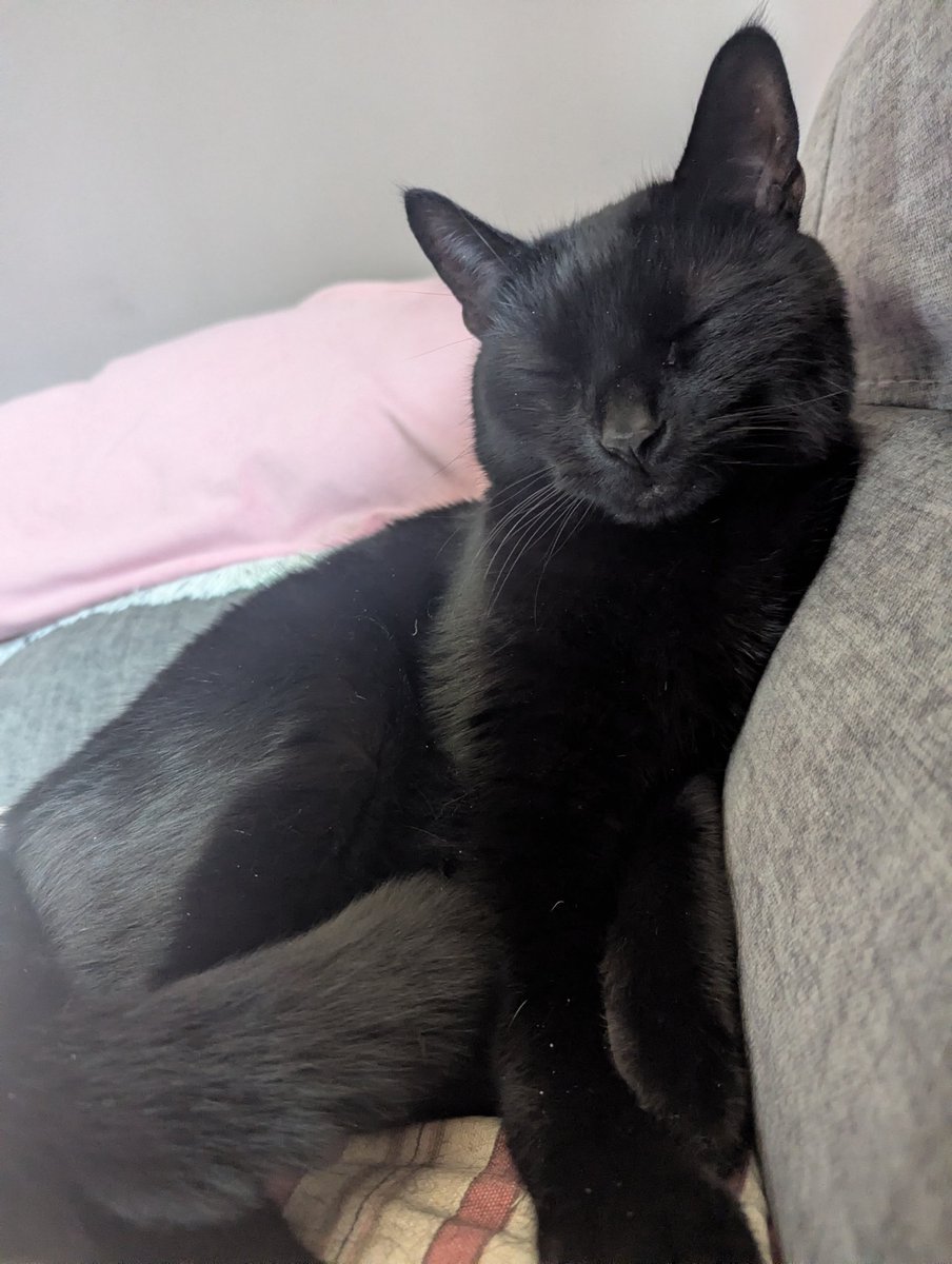 The Amazing (ffs) tweet media