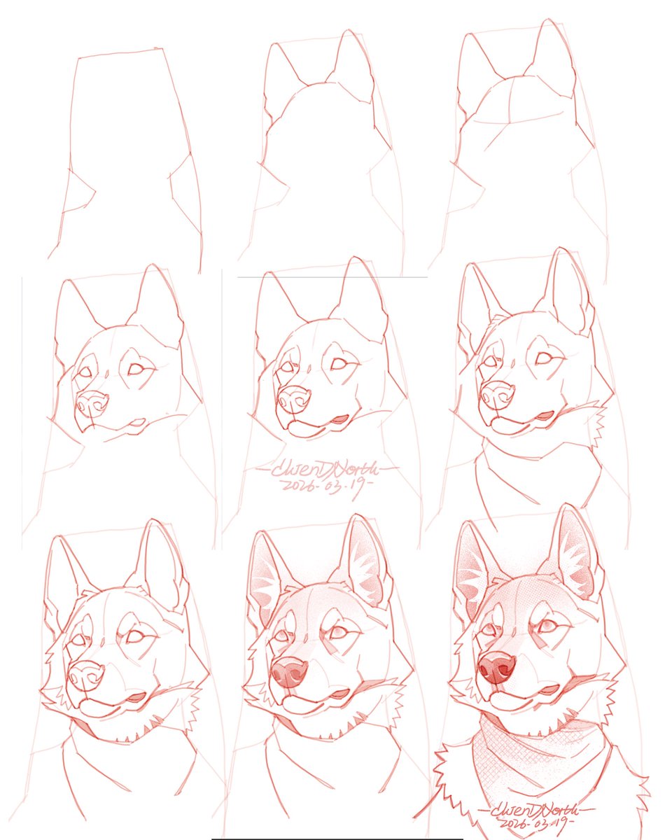 Chien.D.North tweet media