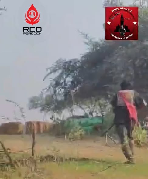 INTEL-24 tweet media