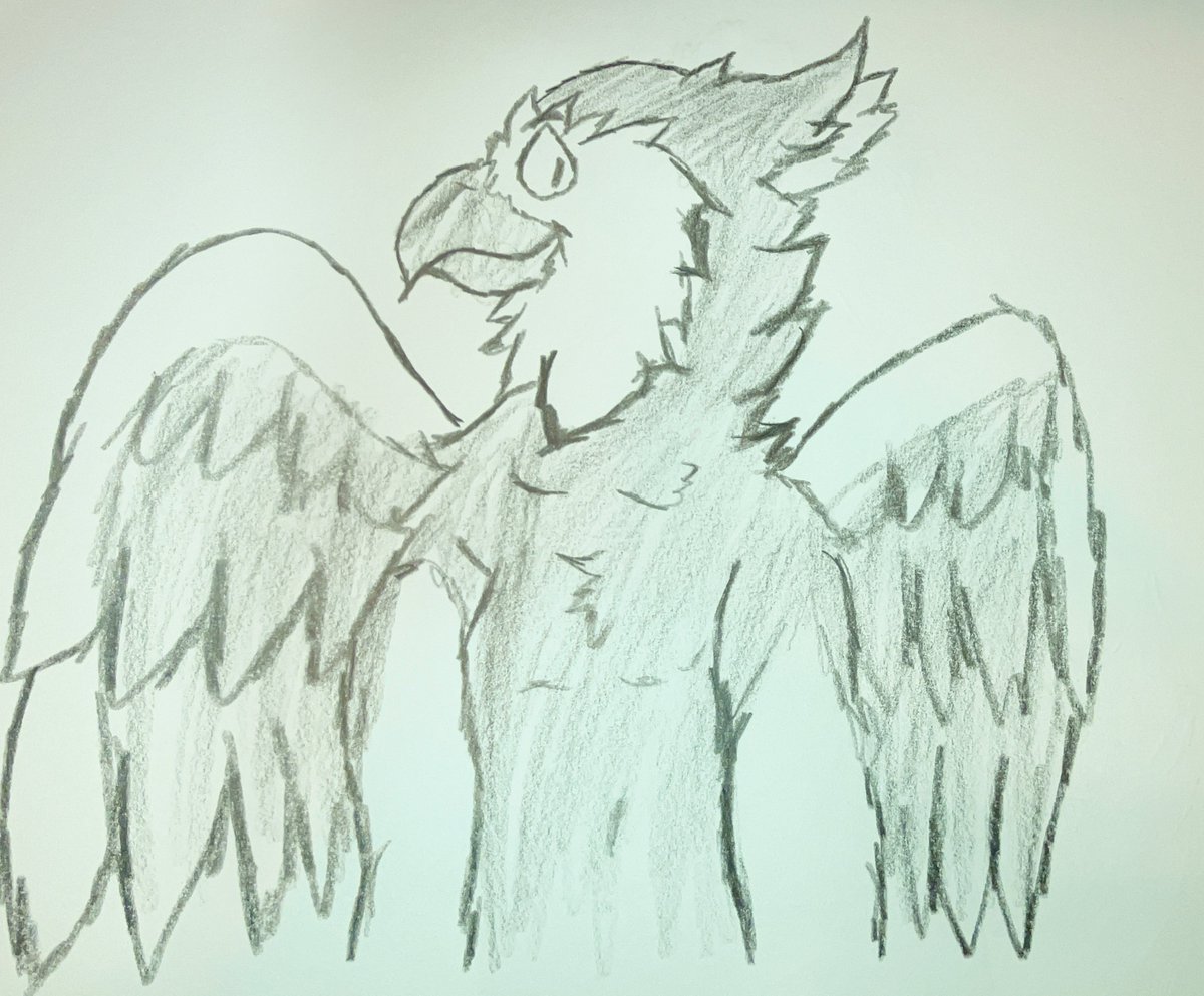 your #1 ostrich tweet media