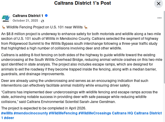 icpolicy tweet media