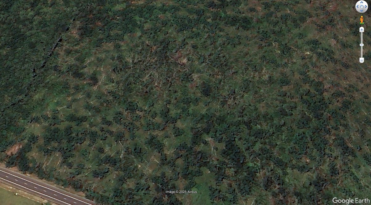 Ethan Kerr tweet media