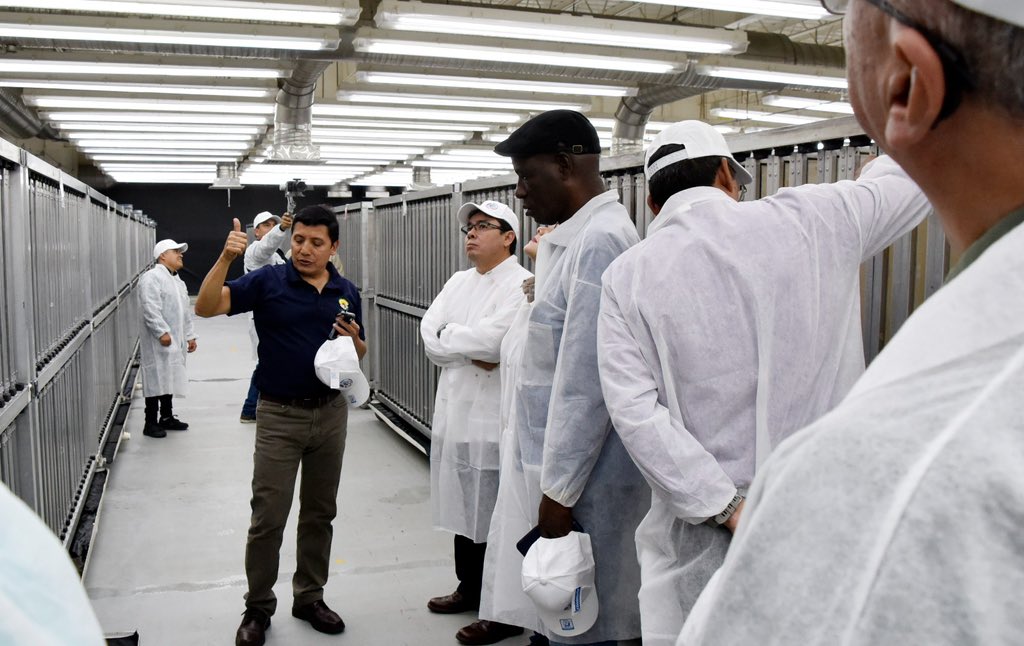 Javier Calderón Senasica tweet media