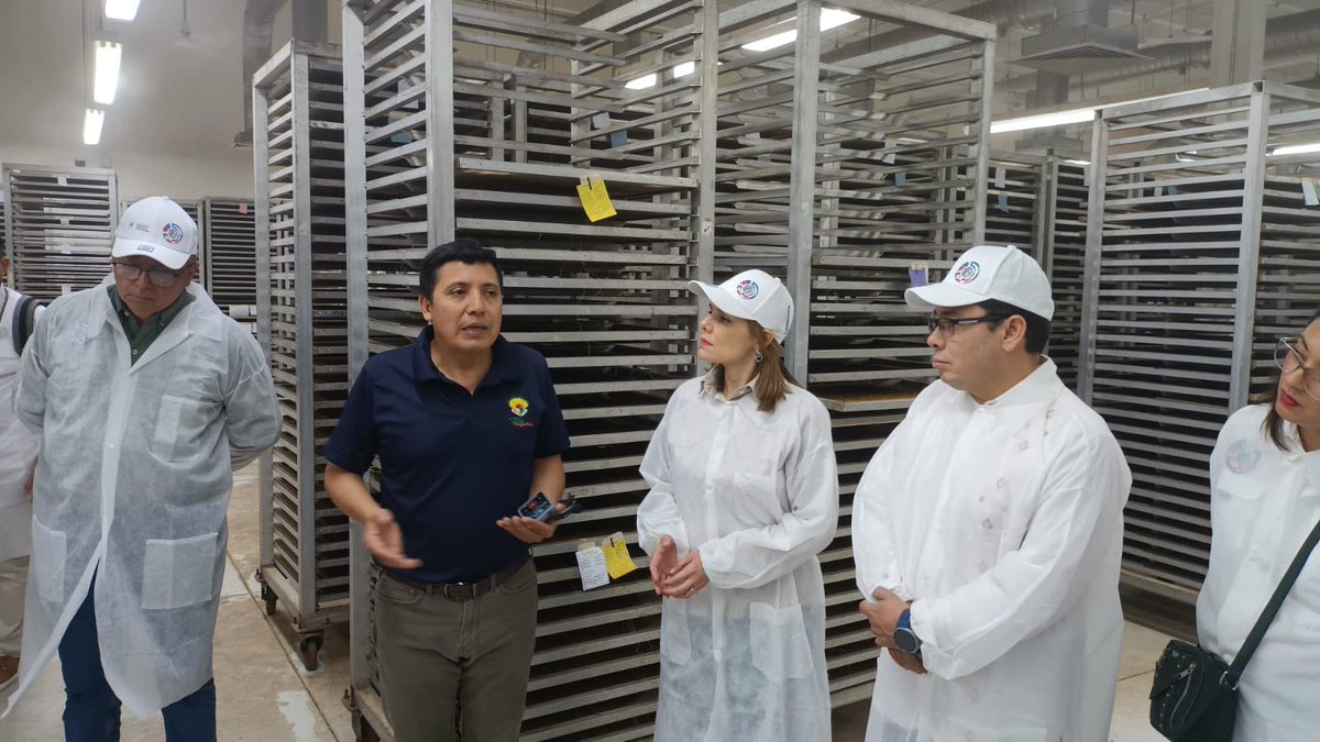 Javier Calderón Senasica tweet media