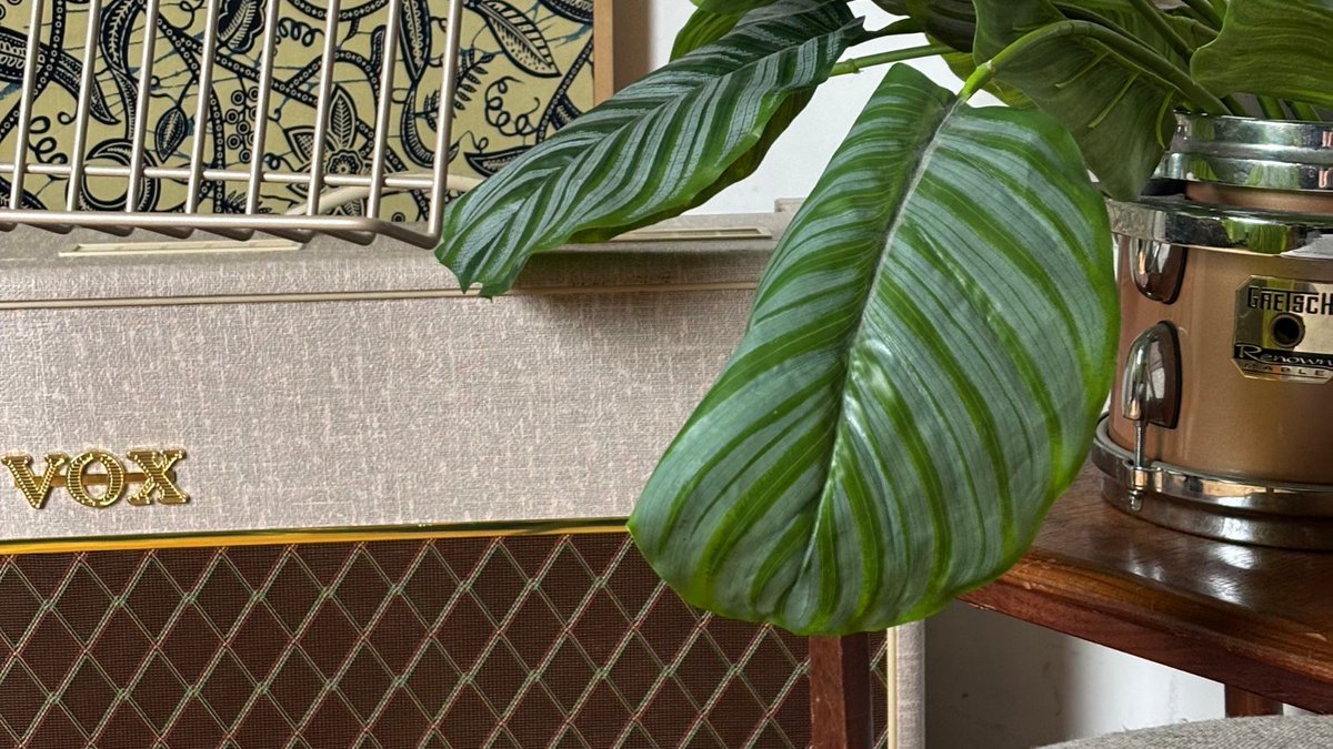 RATstands Ltd tweet media