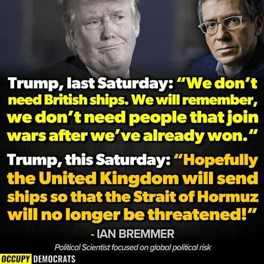 Braddock Democrats 🌊 tweet media