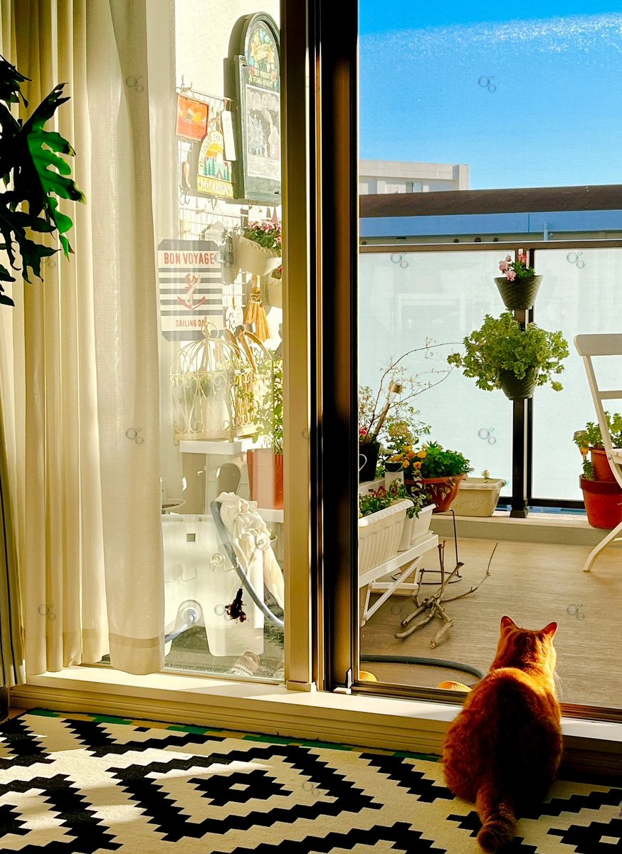 Daryl Cady tweet media