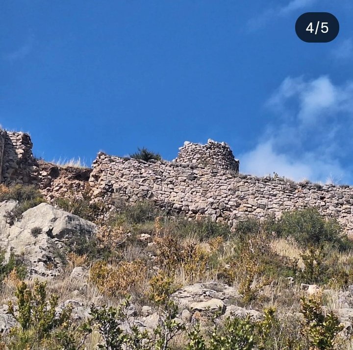 Rioxa Nostra tweet media