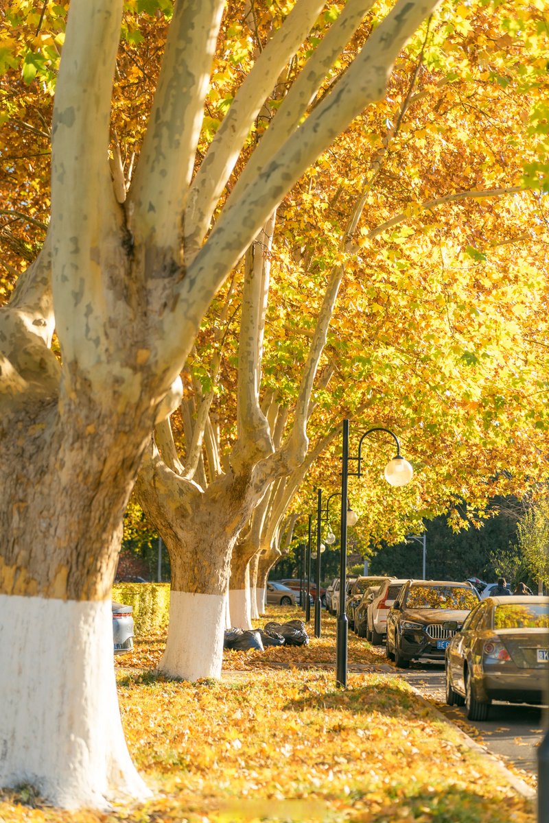 Krizonics Ádám tweet media