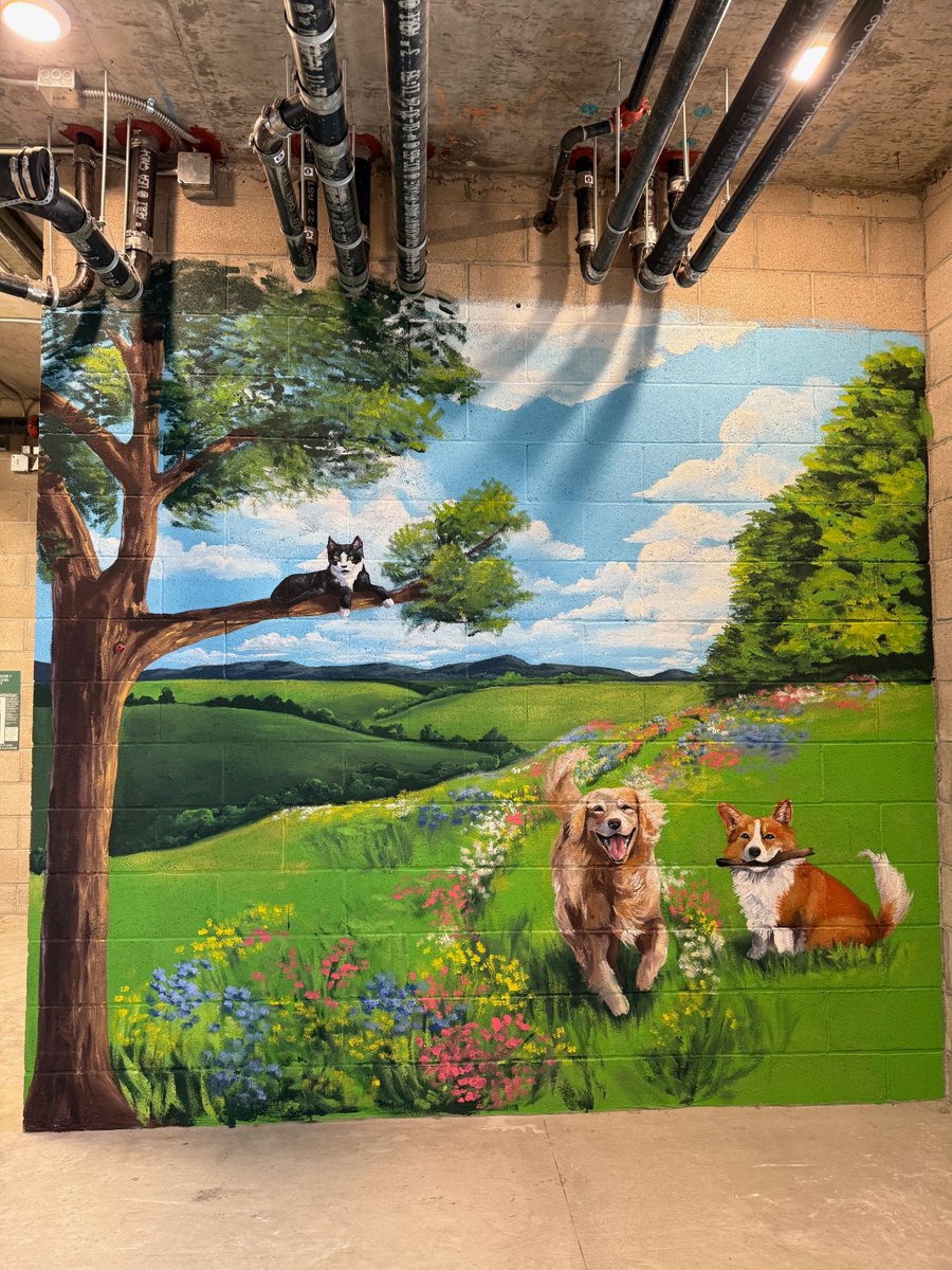 WISEPlace tweet media