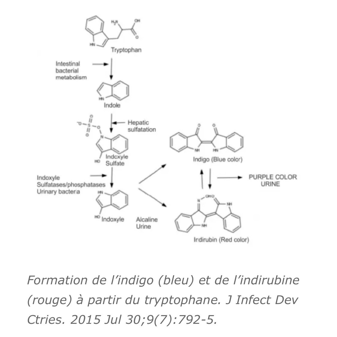 Marc Gozlan tweet media