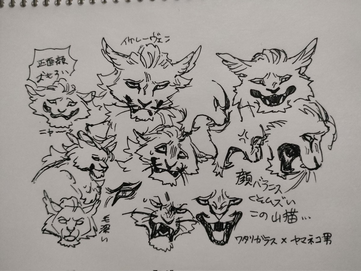 レーヴェンおじさん、山猫×ワタリガラスモチーフの人外男なんだけど、
まず顔の比率が完全には山猫じゃないイメージで描いてるから、何回描いてもムズい…このオジ……

あと角度でイケメンになるイメージだから、完全な正面顔がちょっと不細工だと完璧…。
塩梅がムズい…。