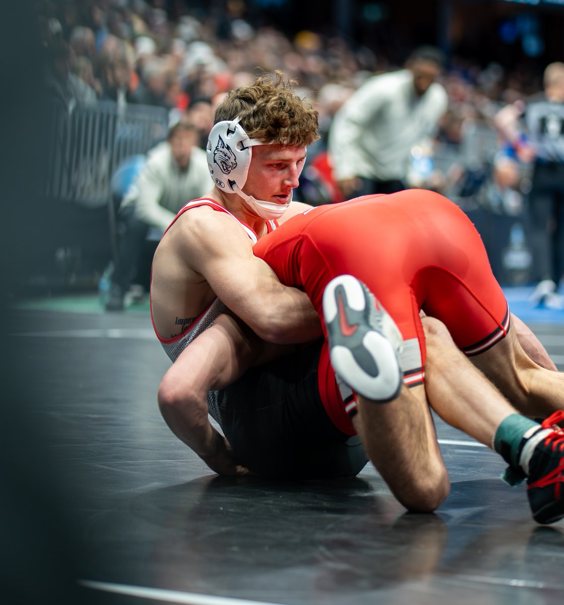 Davidson Wrestling tweet media