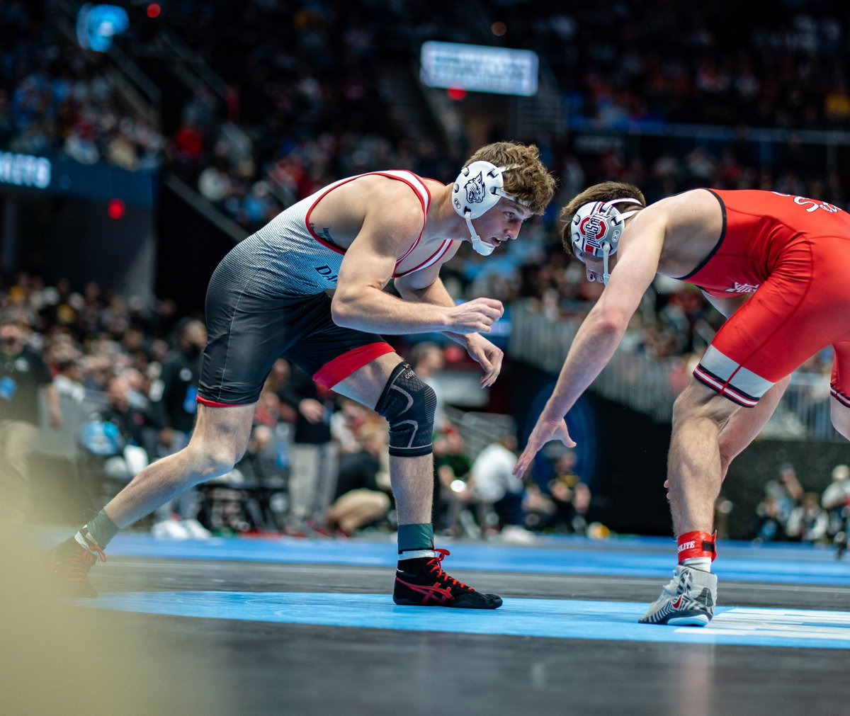 Davidson Wrestling tweet media