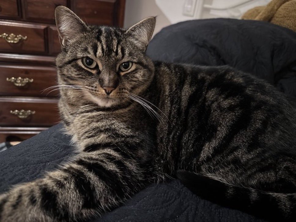 𝕩Simon Wu tweet media